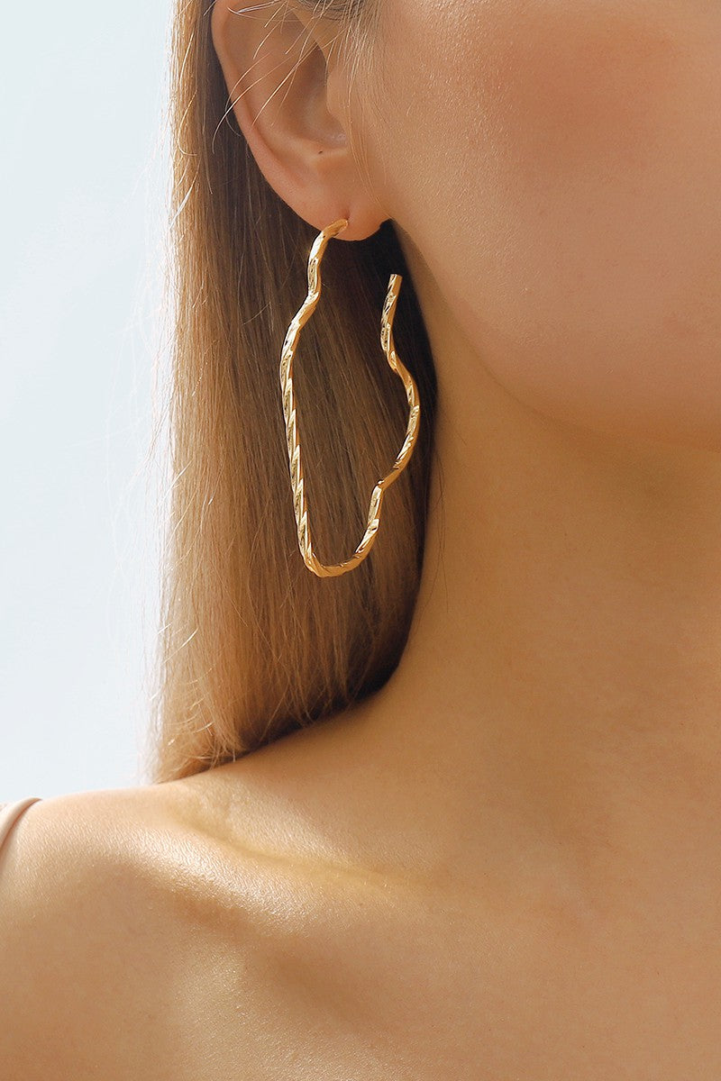 Unique Shape Earrings