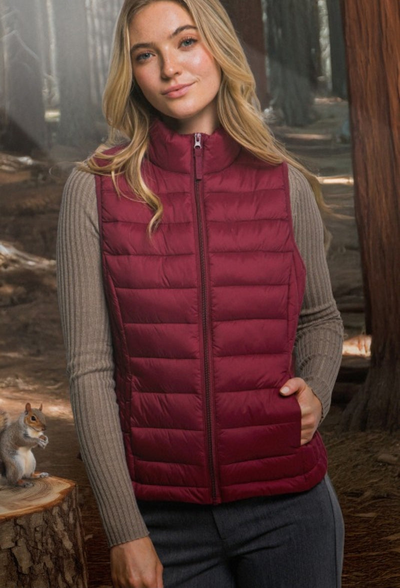 Carry On Vest